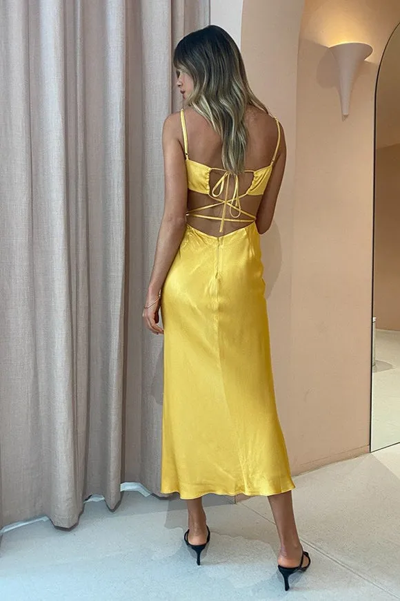 Alma Backless Dress