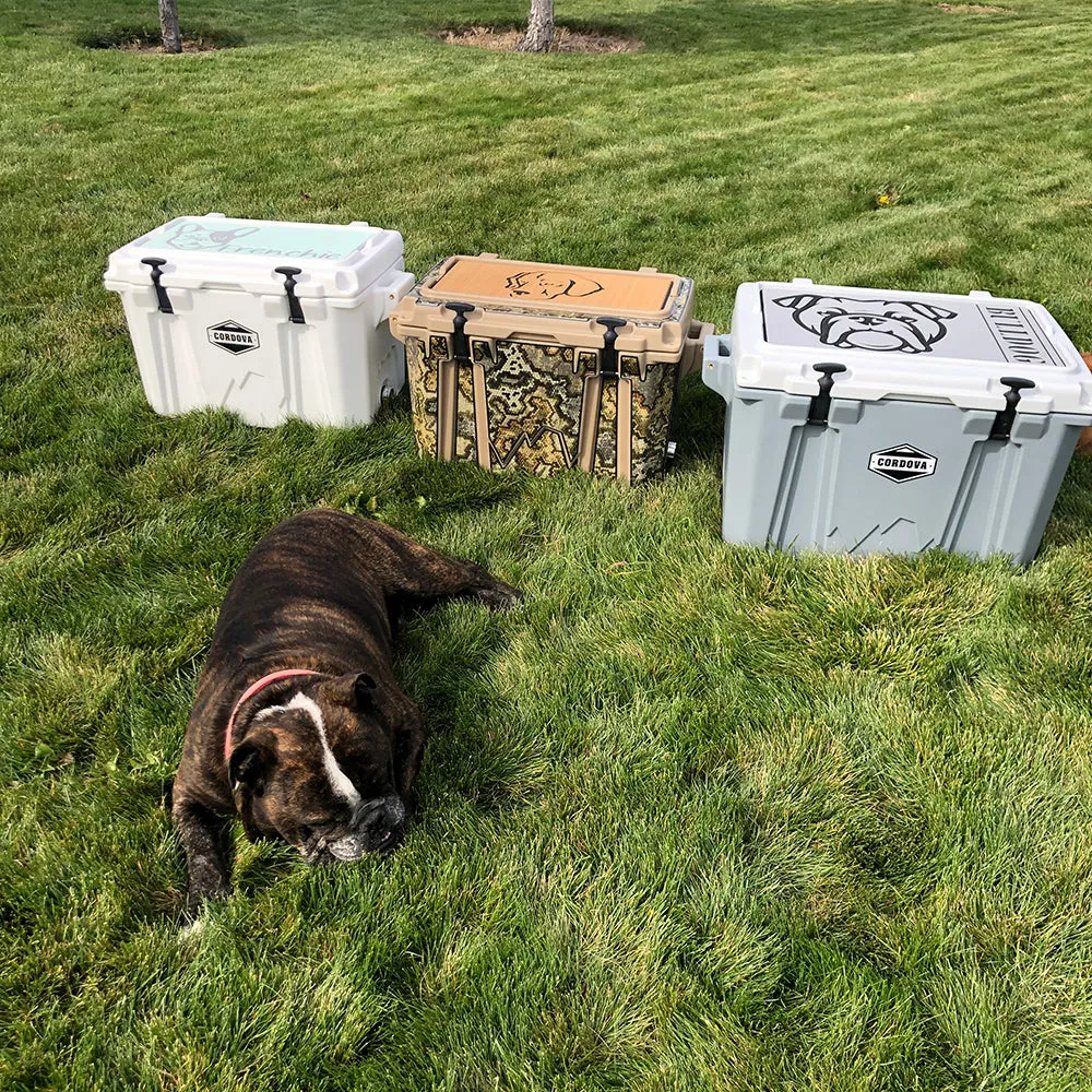 French Bulldog Name - AR/B