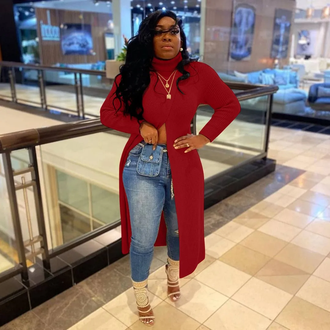 Long Sleeve Turtleneck Maxi Sweater