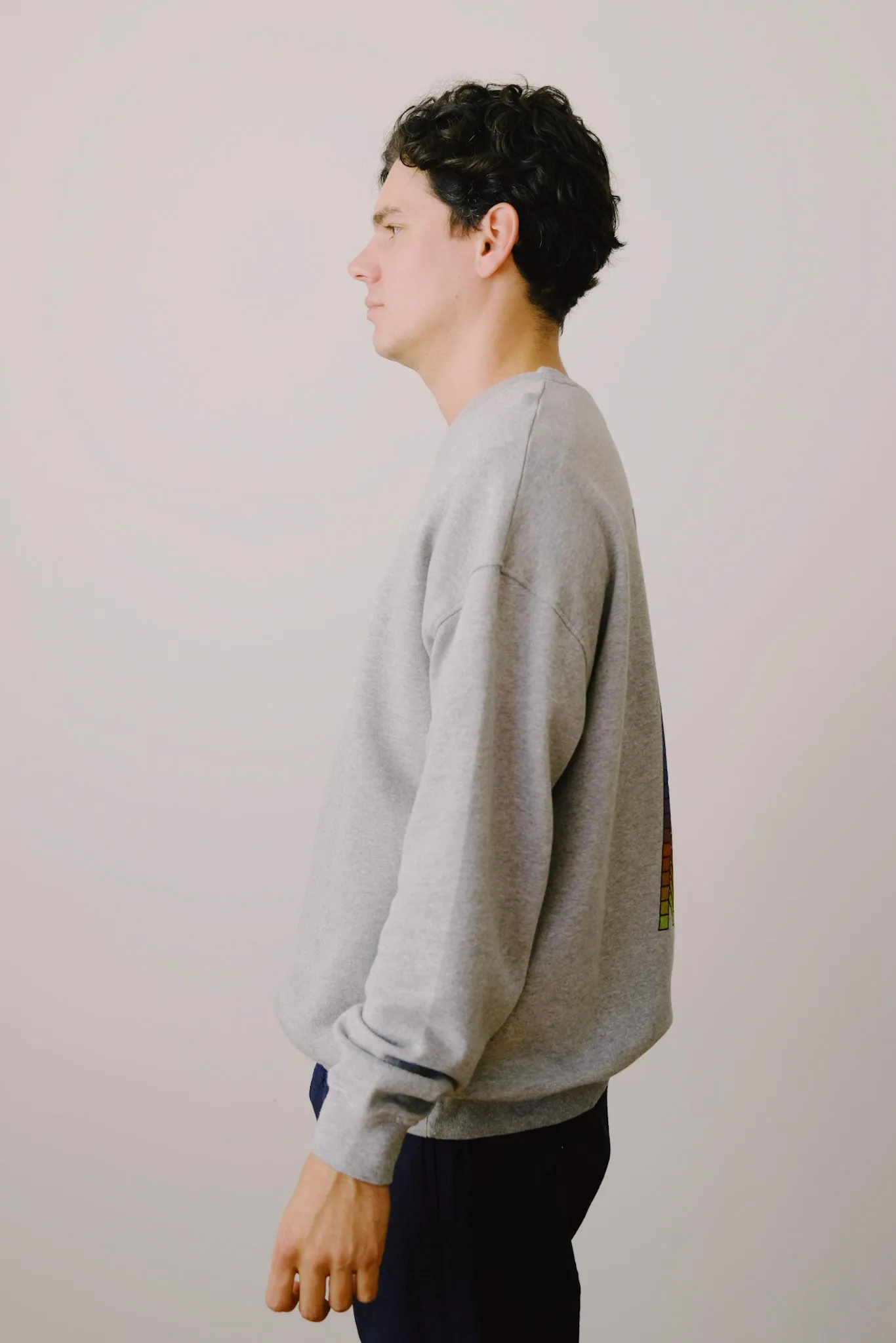 sweatshirt - kodak - grey