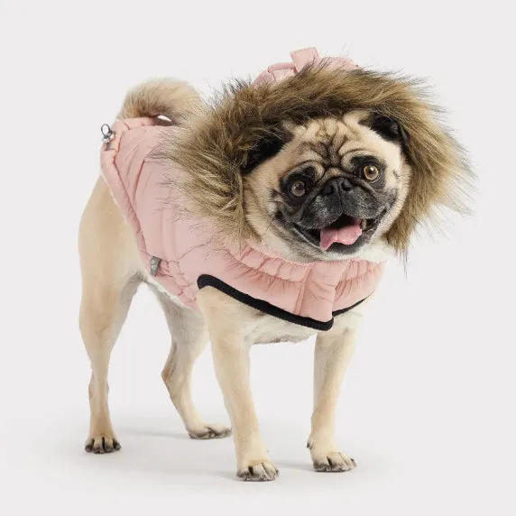 Urban Parka Dog Coat
